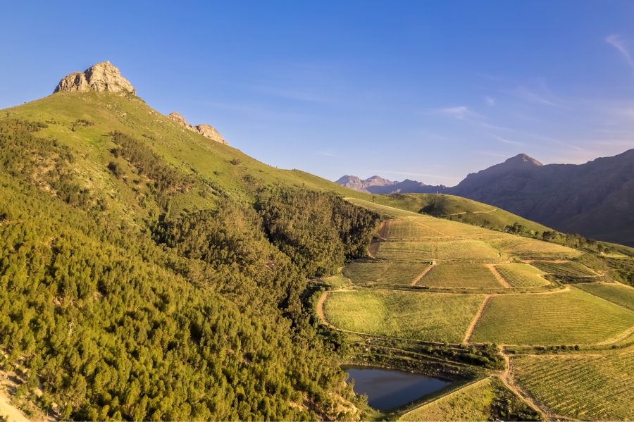 0 Bedroom Property for Sale in Arbeidslus Western Cape